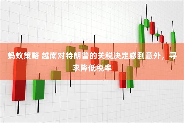 蚂蚁策略 越南对特朗普的关税决定感到意外，寻求降低税率