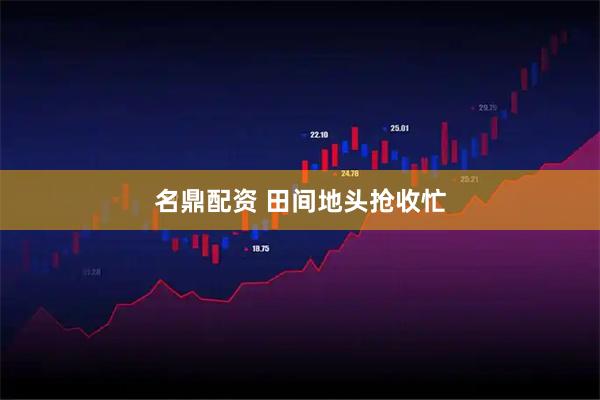名鼎配资 田间地头抢收忙