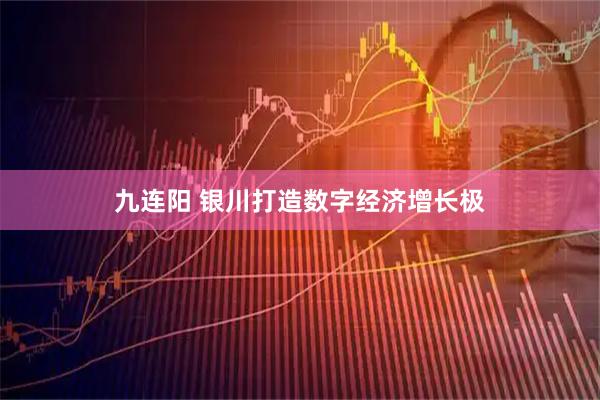 九连阳 银川打造数字经济增长极