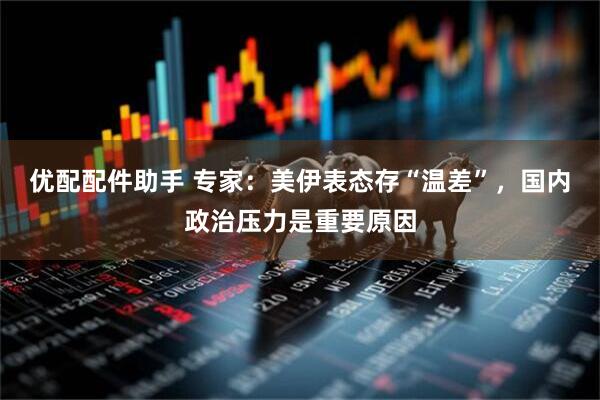 优配配件助手 专家：美伊表态存“温差”，国内政治压力是重要原因