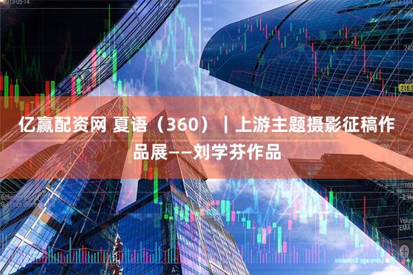 亿赢配资网 夏语（360）｜上游主题摄影征稿作品展——刘学芬作品